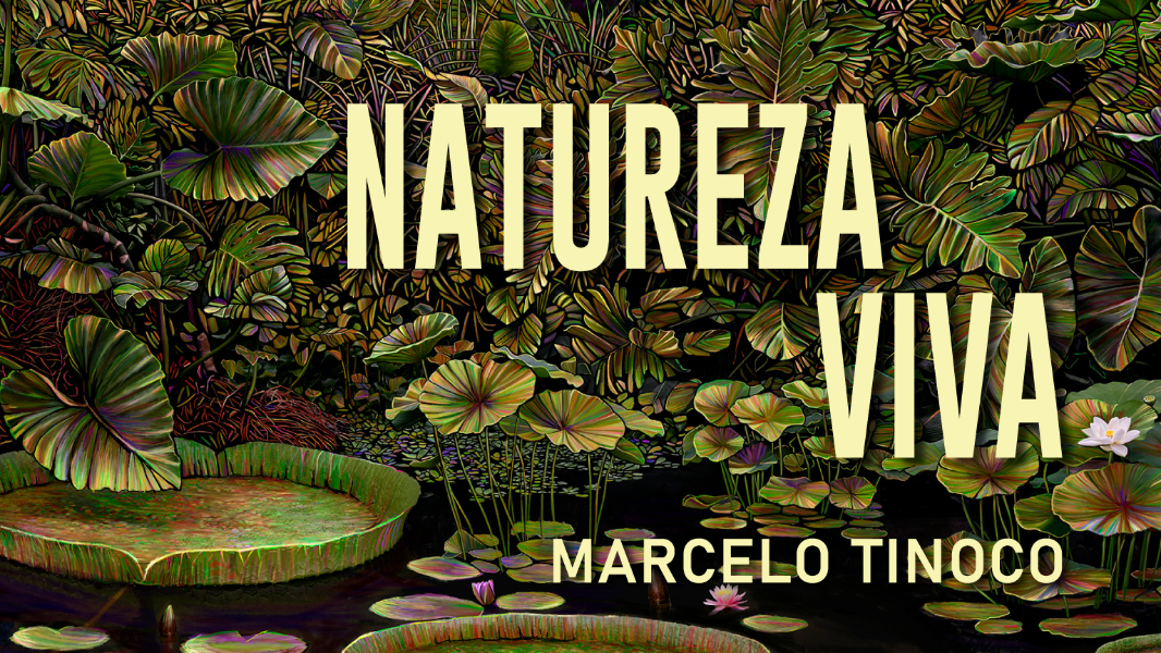 Exposição “Natureza Viva” — Marcelo Tinoco